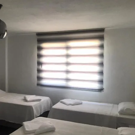 D Lux 8 *
